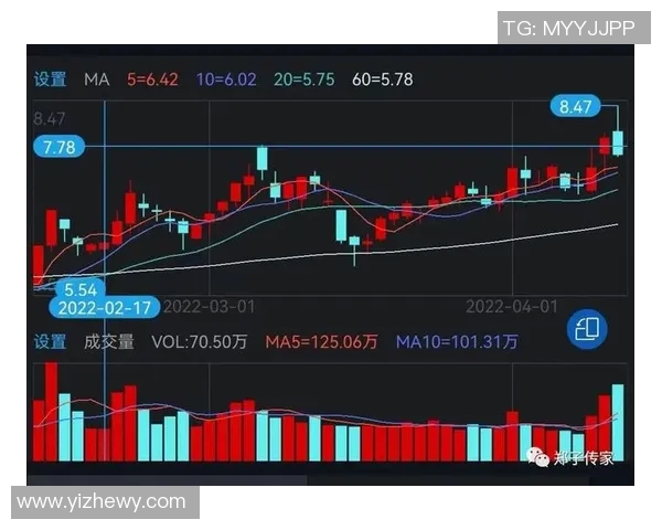杭州与上海排球队赛后技术分析与战术复盘探讨